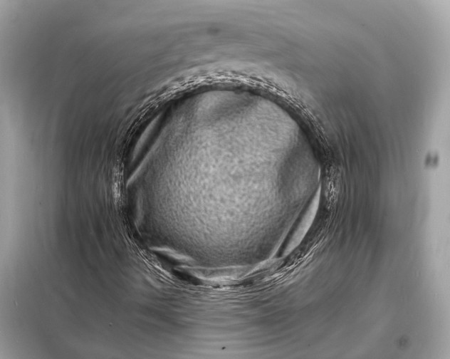 X0000098181490200805081012