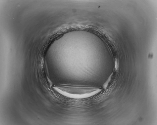 X0000098181492200805081012