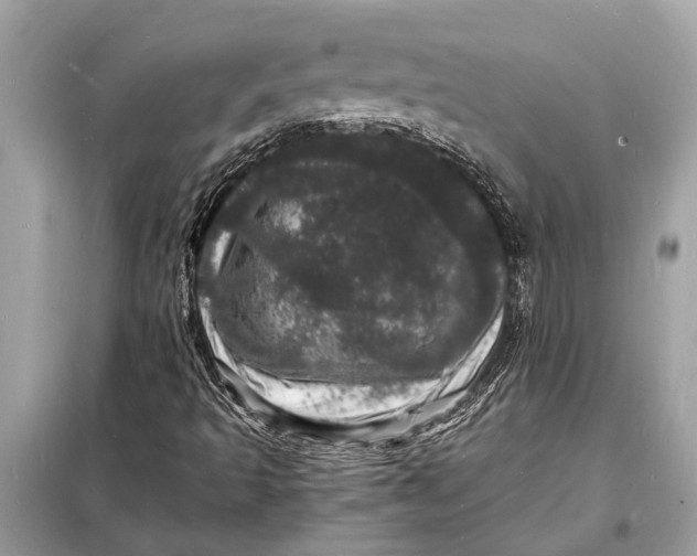 X0000098181493200805081012