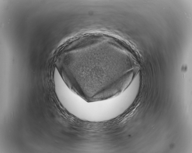 X0000098181494200805081012