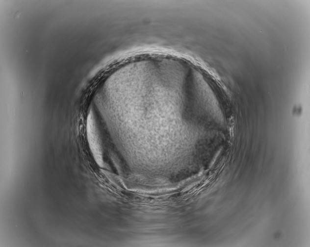 X0000098181495200805081012