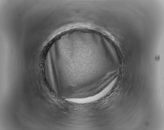 X0000098181496200805081012