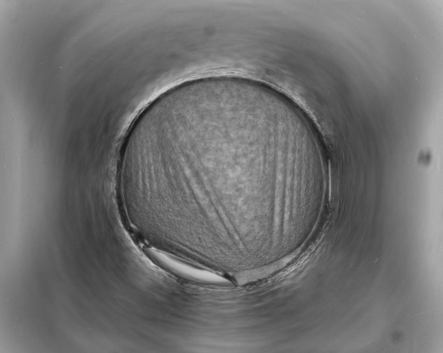 X0000098181500200805081012