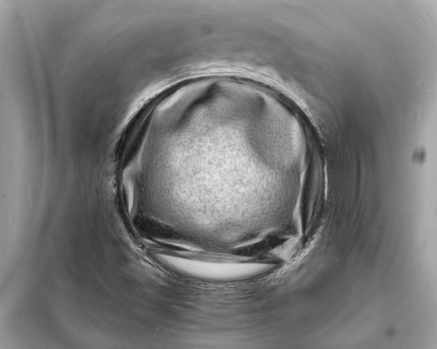 X0000098181501200805081012