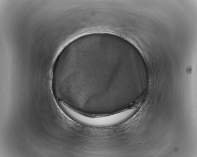 X0000098181508200805081012