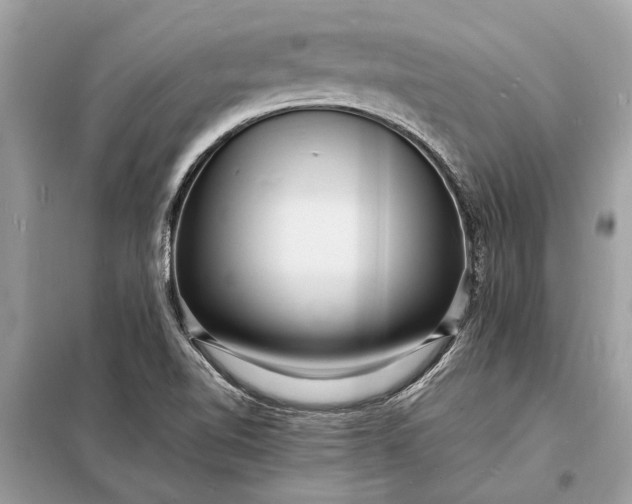 X0000098181510200805081012