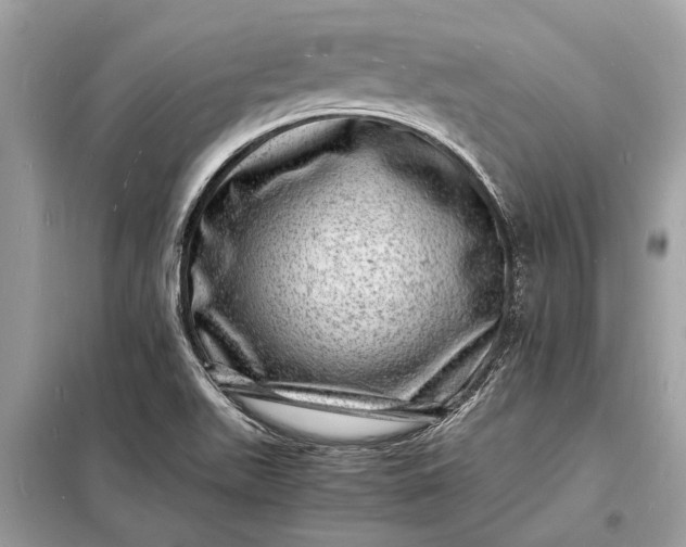 X0000098181511200805081012