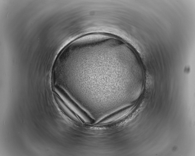 X0000098181513200805081012