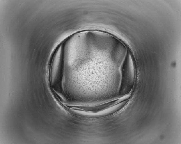 X0000098181517200805081012