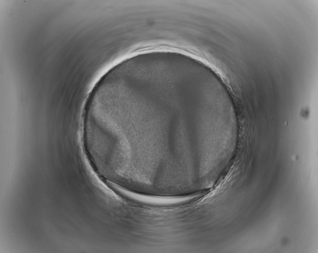 X0000098181518200805081012