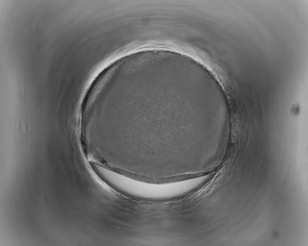 X0000098181519200805081012