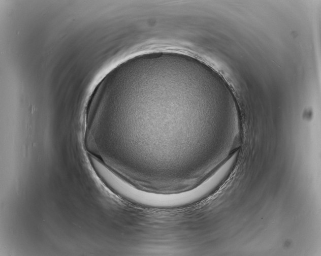 X0000098181520200805081012