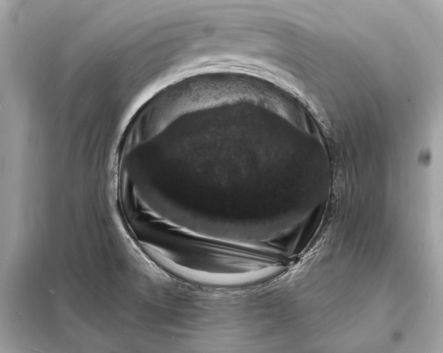 X0000098181522200805081012