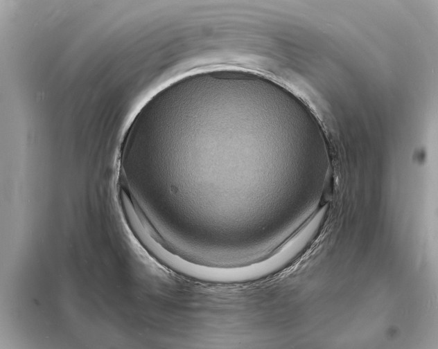 X0000098181524200805081012