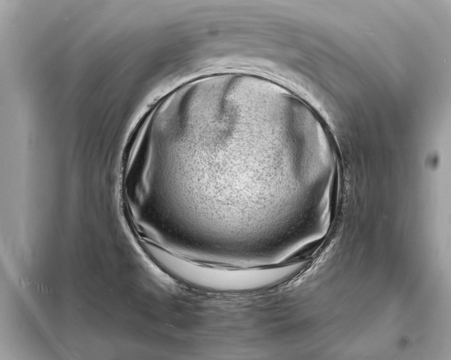 X0000098181525200805081012