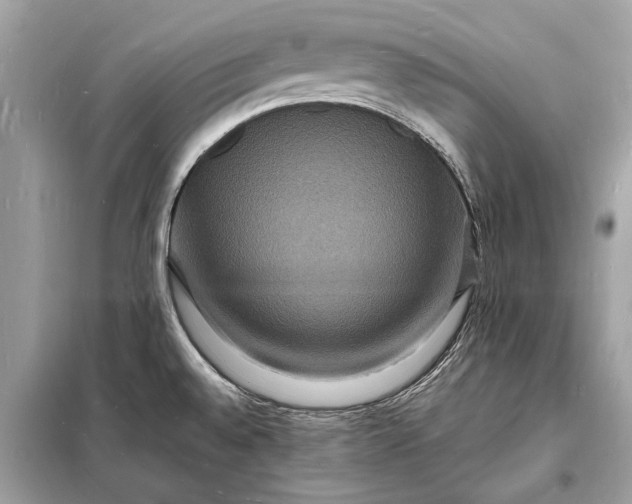 X0000098181528200805081012