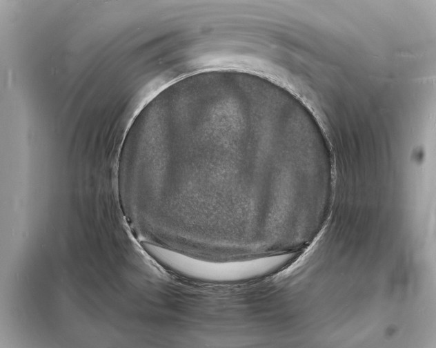 X0000098181529200805081012