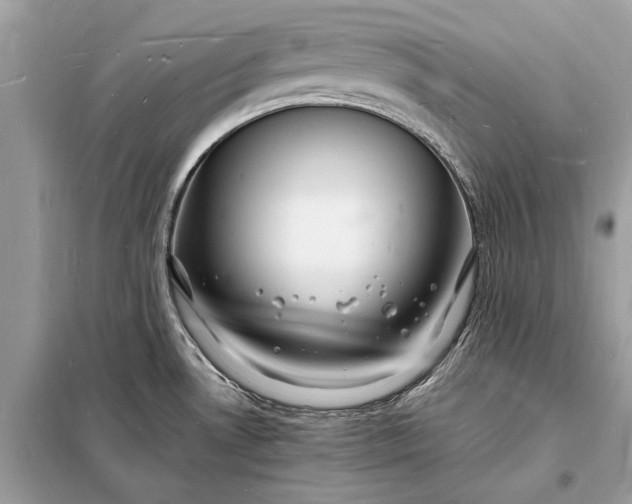 X0000098181530200805081012