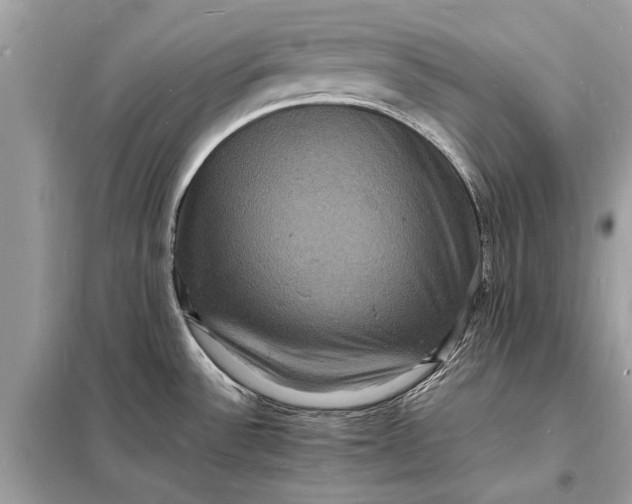 X0000098181532200805081012