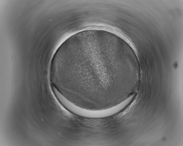 X0000098181533200805081013