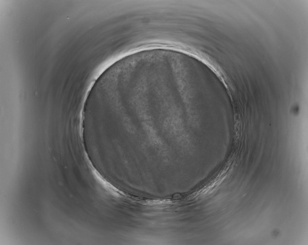 X0000098181535200805081013