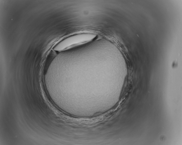 X0000098180001200805151151