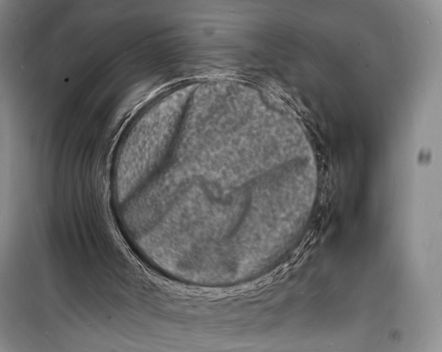 X0000098180002200805151151