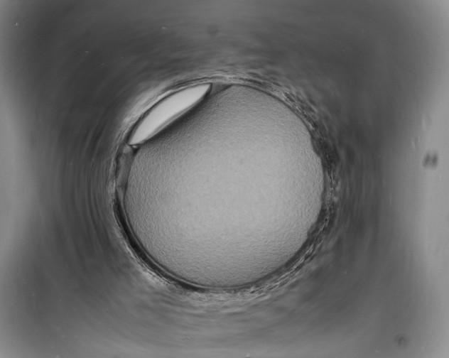 X0000098180005200805151151