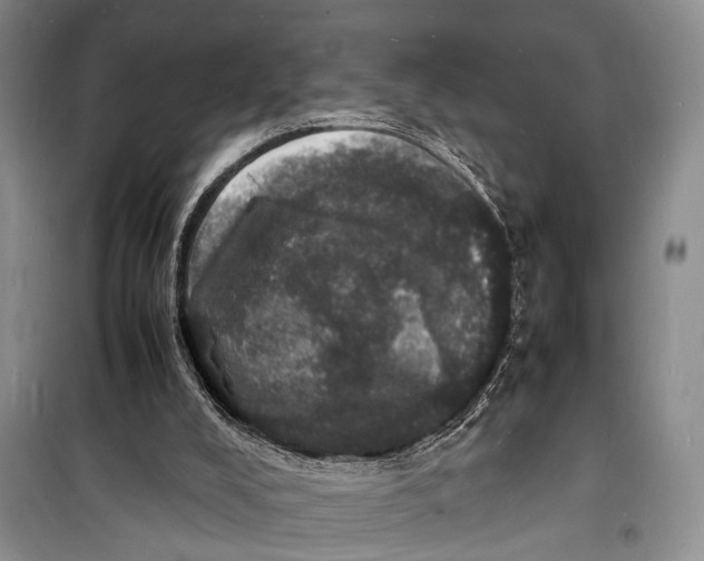 X0000098180008200805151151