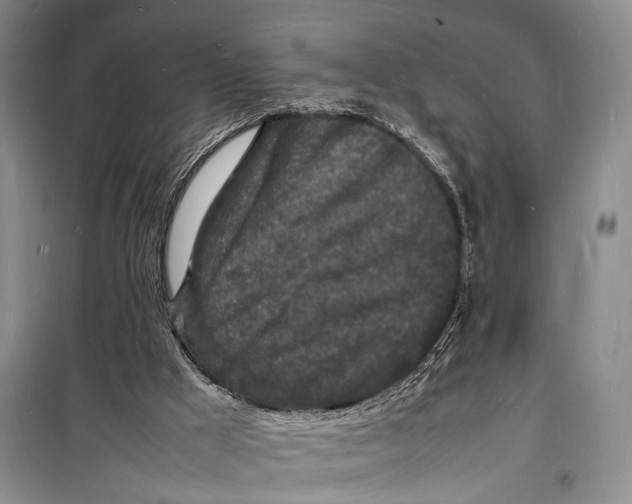 X0000098180009200805151151