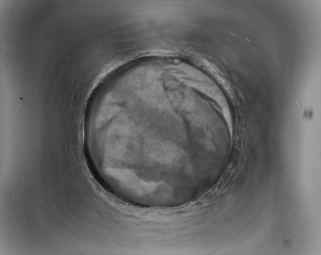 X0000098180011200805151151