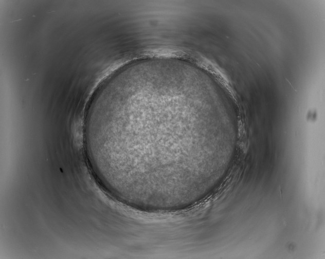 X0000098180012200805151151