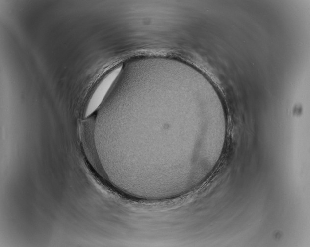 X0000098180013200805151151