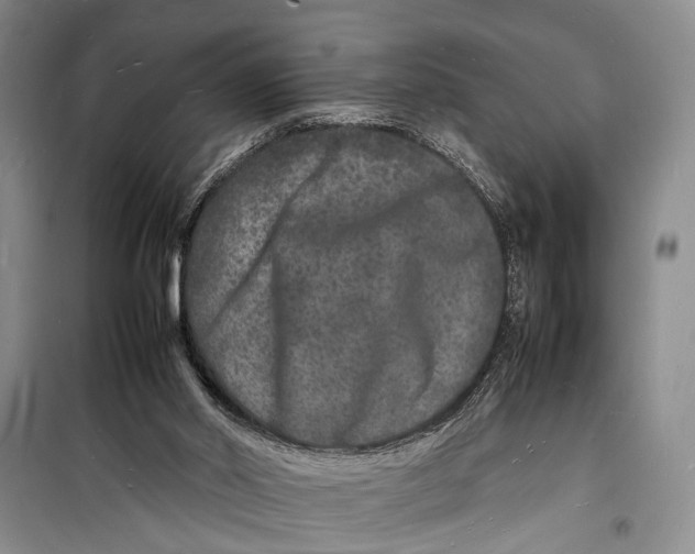 X0000098180014200805151151