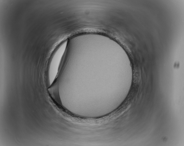 X0000098180015200805151151