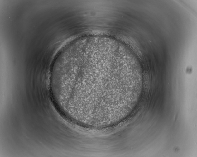 X0000098180016200805151151