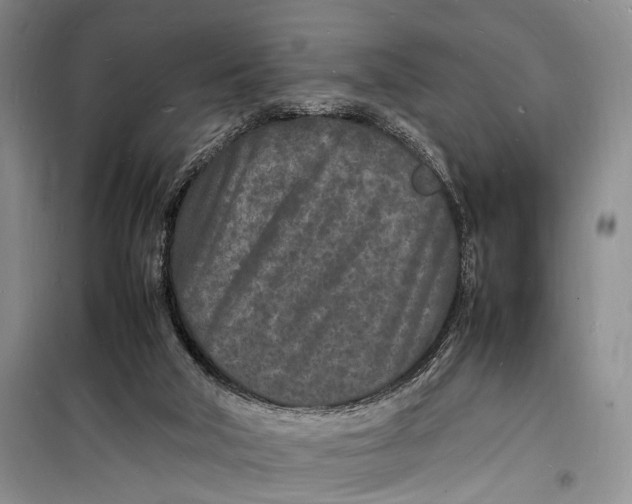 X0000098180018200805151151