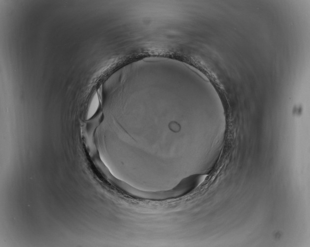 X0000098180019200805151151