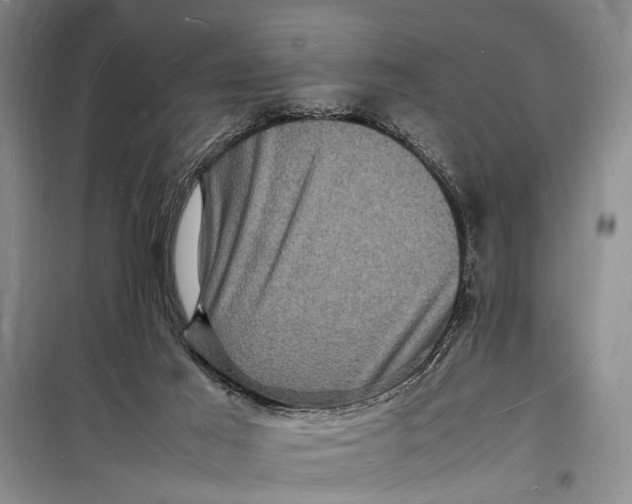 X0000098180021200805151151