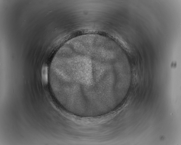 X0000098180022200805151151