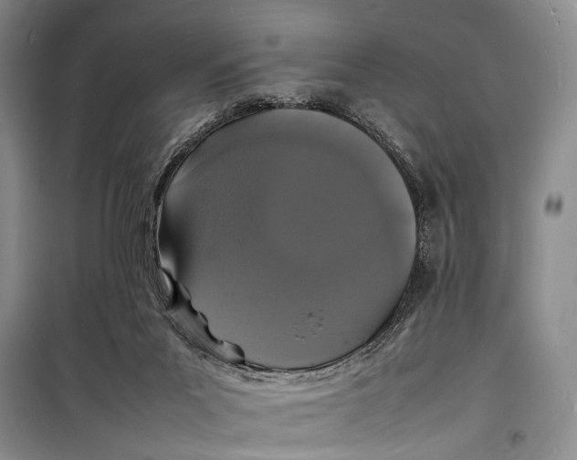 X0000098180023200805151151