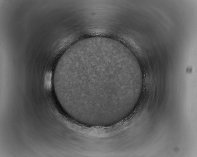 X0000098180024200805151151