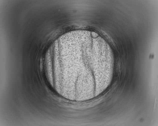 X0000098180026200805151151