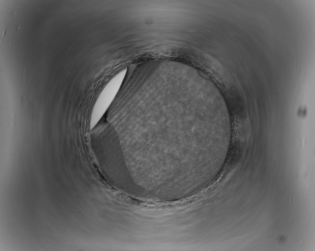 X0000098180029200805151151