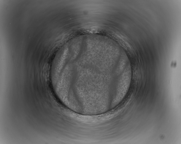 X0000098180030200805151151