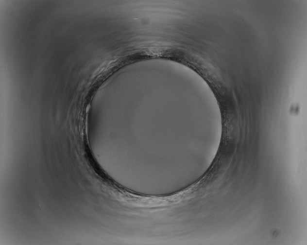 X0000098180031200805151151