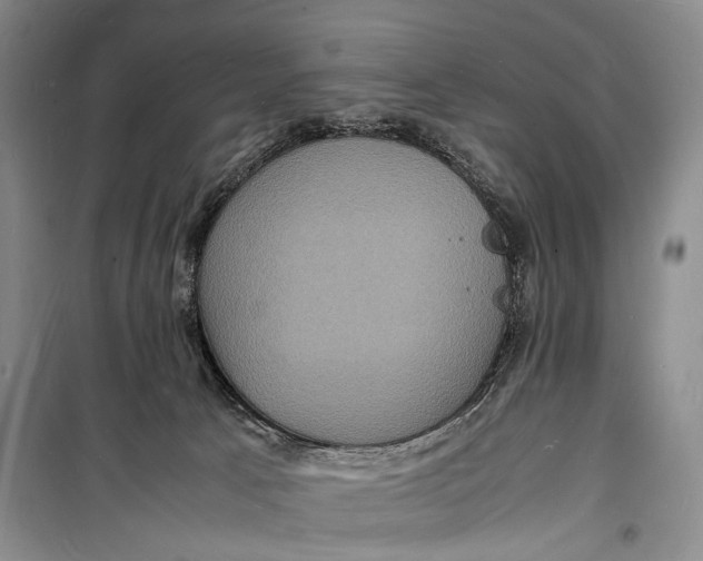 X0000098180033200805151151