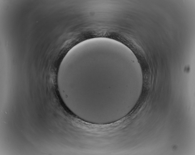 X0000098180035200805151151