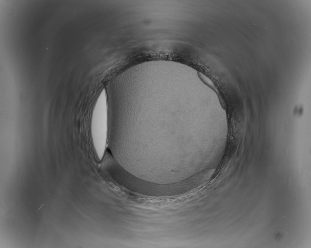 X0000098180037200805151151