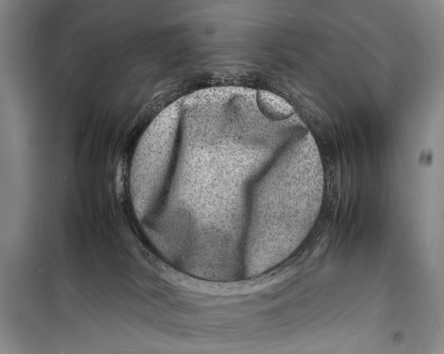 X0000098180038200805151151